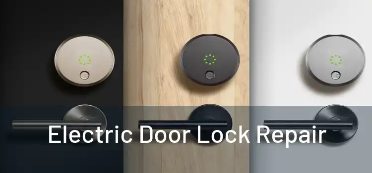 Electric Door Lock Repair